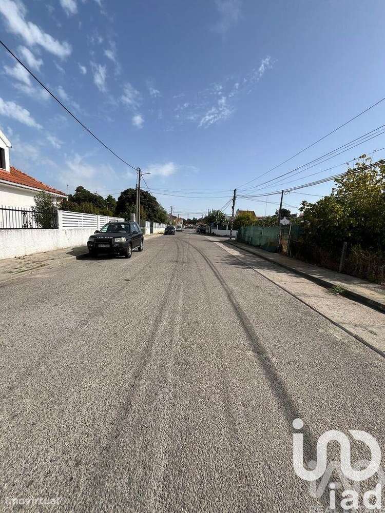 Terreno Agrícola em Amora - Grande imagem: 5/8