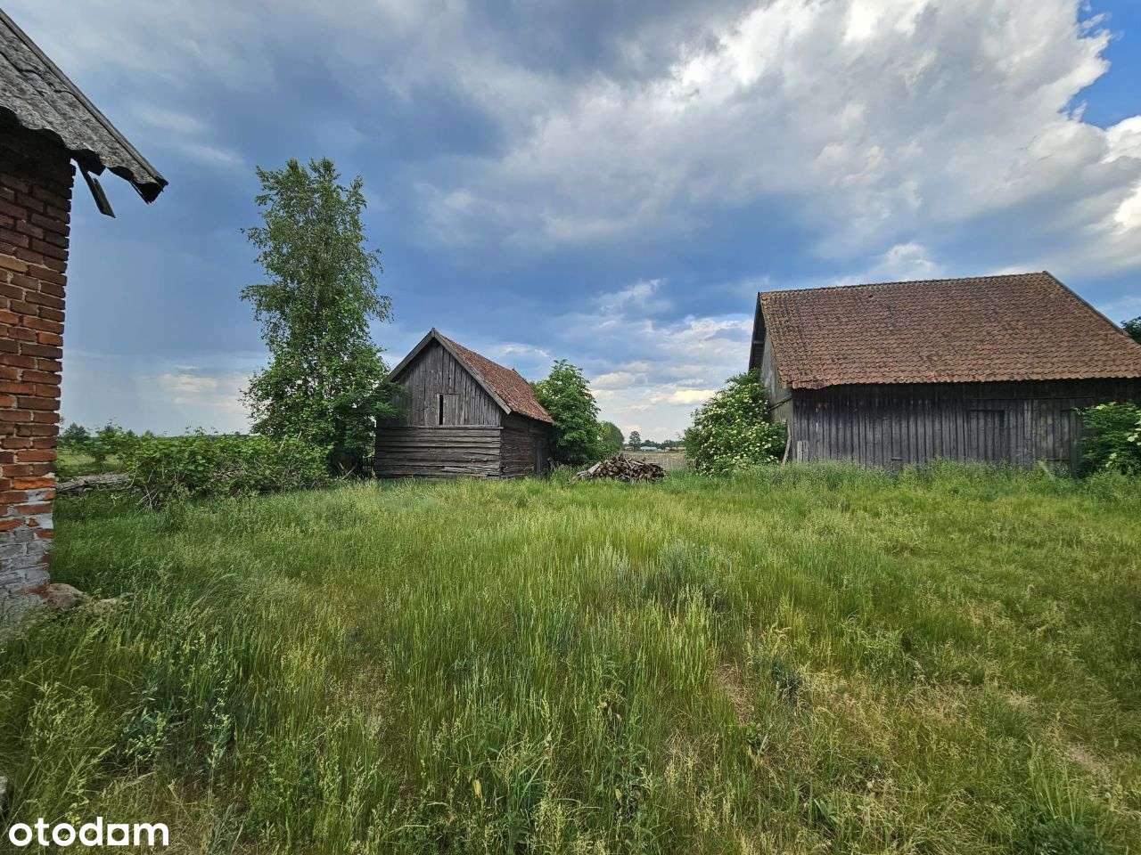 Dom na dużej działce, wraz z zabudowaniami-5