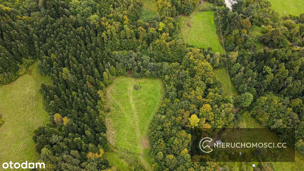 Działka budowlana 43 ar - Stróża pod LASEM ! - Pełny obrazek: 5/6
