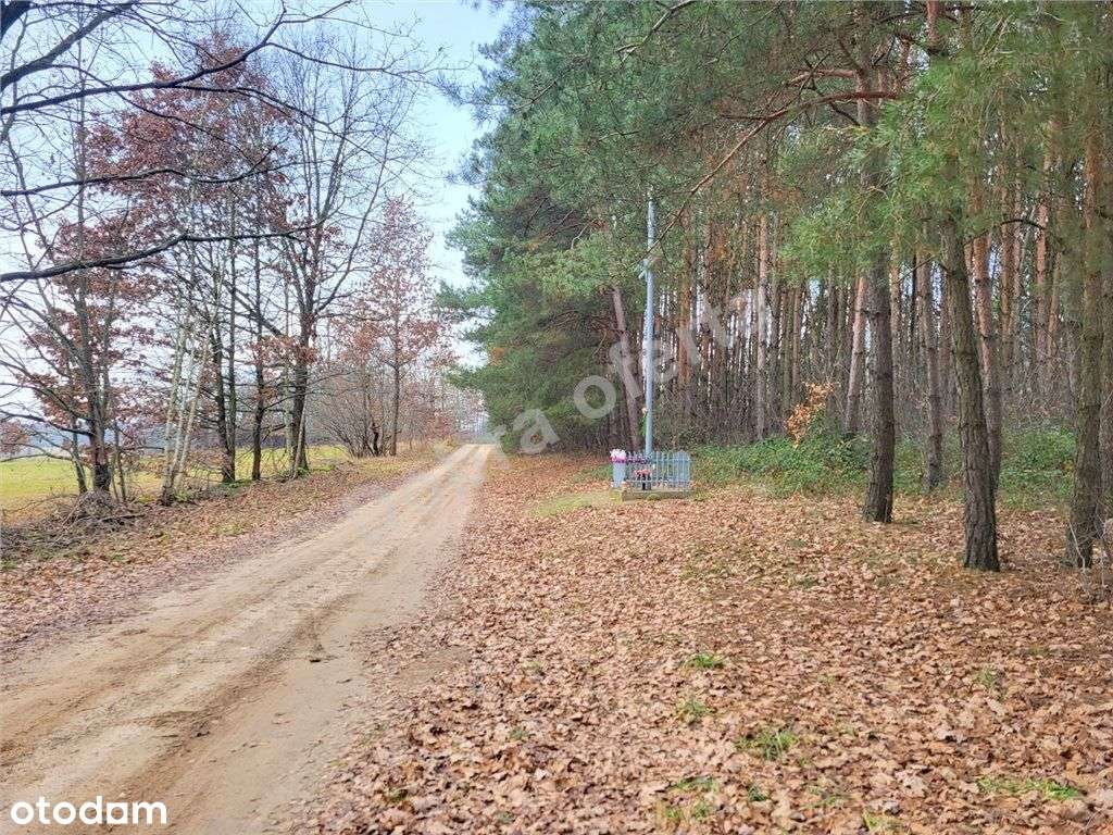 Duża piękna działka obok Kałuszyna-0