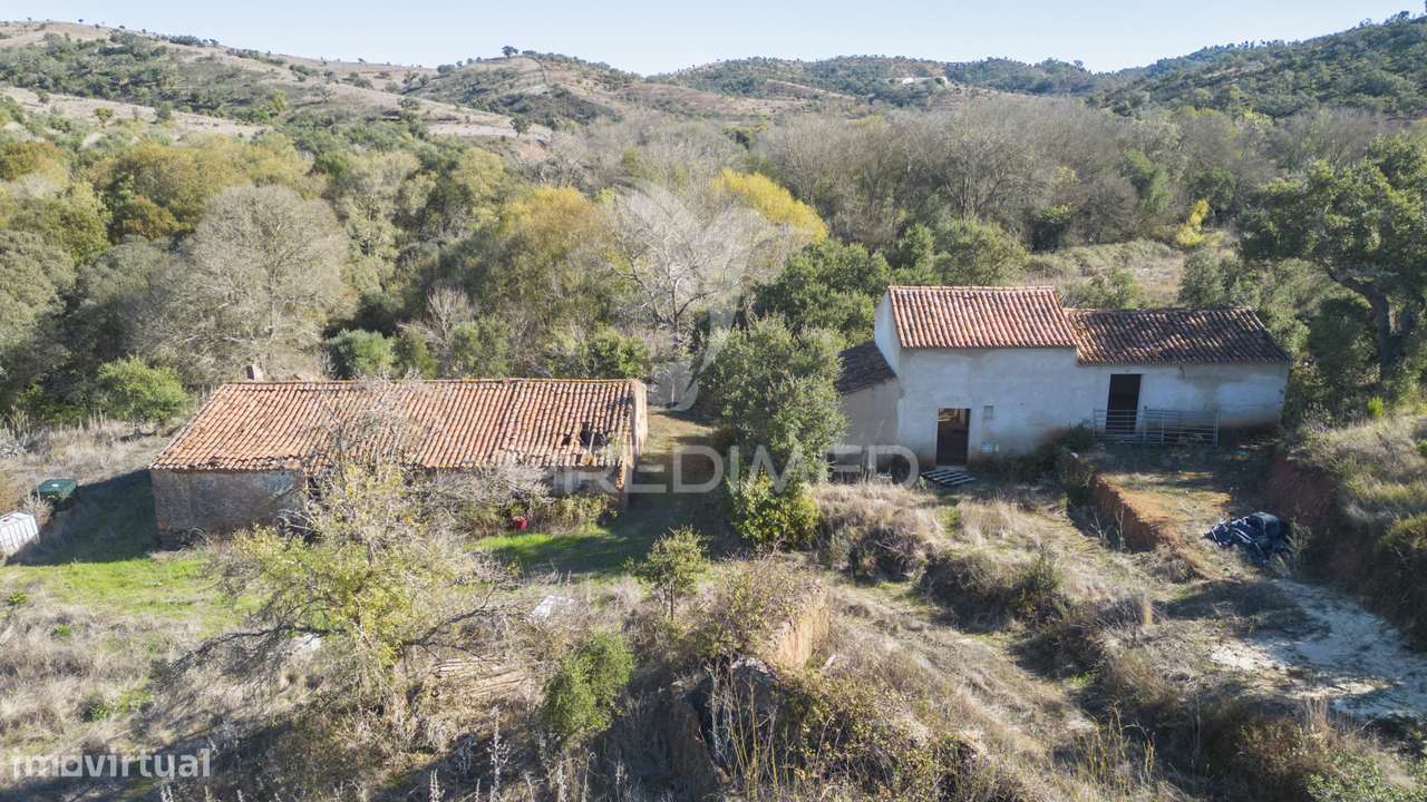 Quinta de 11 hectares com uma ribeira em Boavista dos Pinheiros - Grande imagem: 4/30