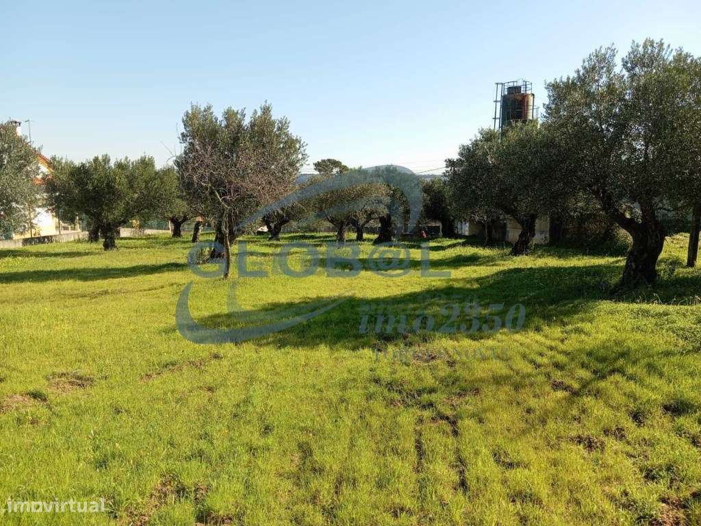 Terreno Venda Torres Novas - Grande imagem: 4/9