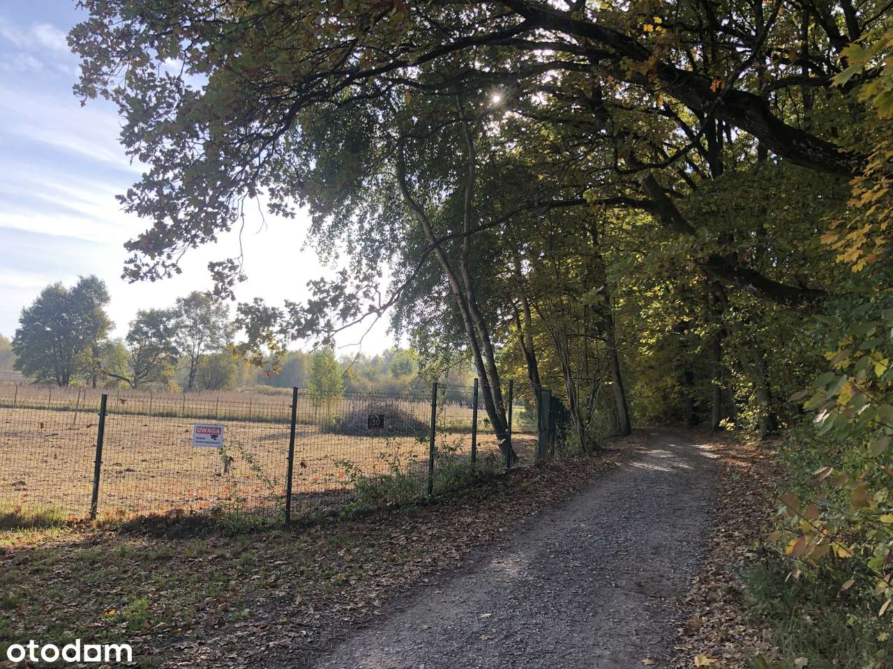 Działka Przy Parku w Powsinie | 0% Prowizji - Pełny obrazek: 3/6