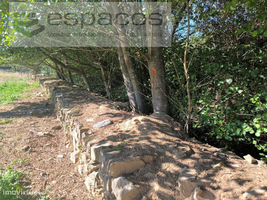 Quinta do Valouro - Sobral do Campo - Grande imagem: 5/10