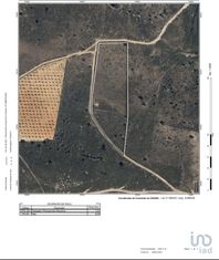 Terreno em Poiares de 818500,00 m2 - Grande imagem: 5/30