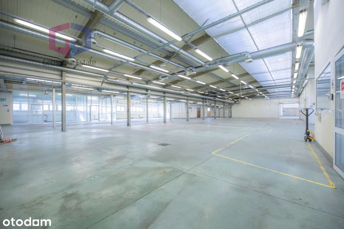 Hale produkcyjno-magazynowo-biurowe Jonkowo - Pełny obrazek: 4/20