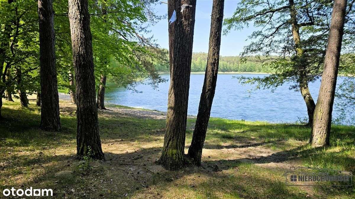 Okole - Grunt siedliskowy w otoczeniu lasu ok. 100-16