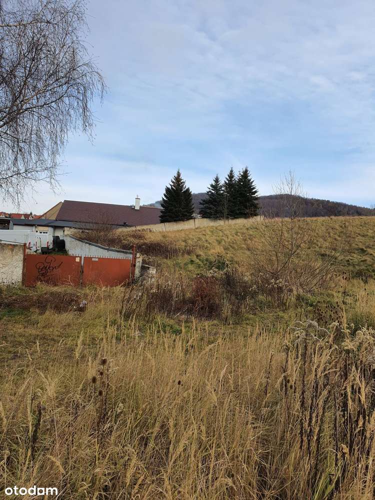 Sprzedam działkę w Wałbrzychu (Podgórze)-2