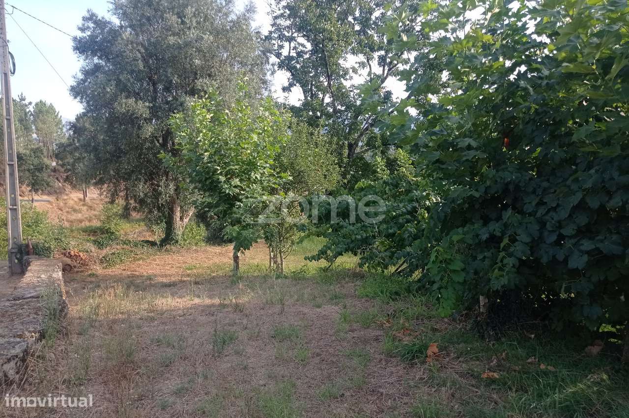 Terreno rústico com frente de estrada - Grande imagem: 5/19