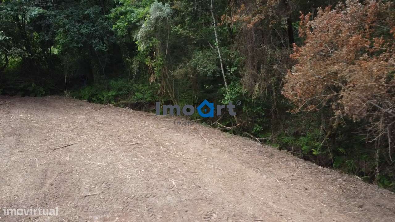 Quinta/Moradia em Pedra com 5.500 m² de Terreno em Fornelos – Ponte-10