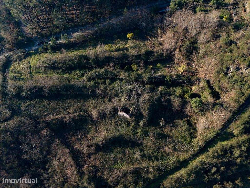 Quinta de Sonho em Fregim, Amarante com vista Rio - Grande imagem: 3/14