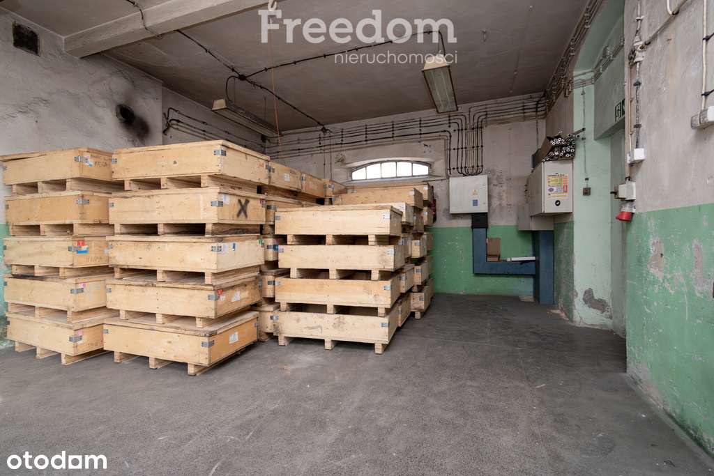 Na wynajem lokal produkcyjno- usługowo-handlowy. - Pełny obrazek: 4/10