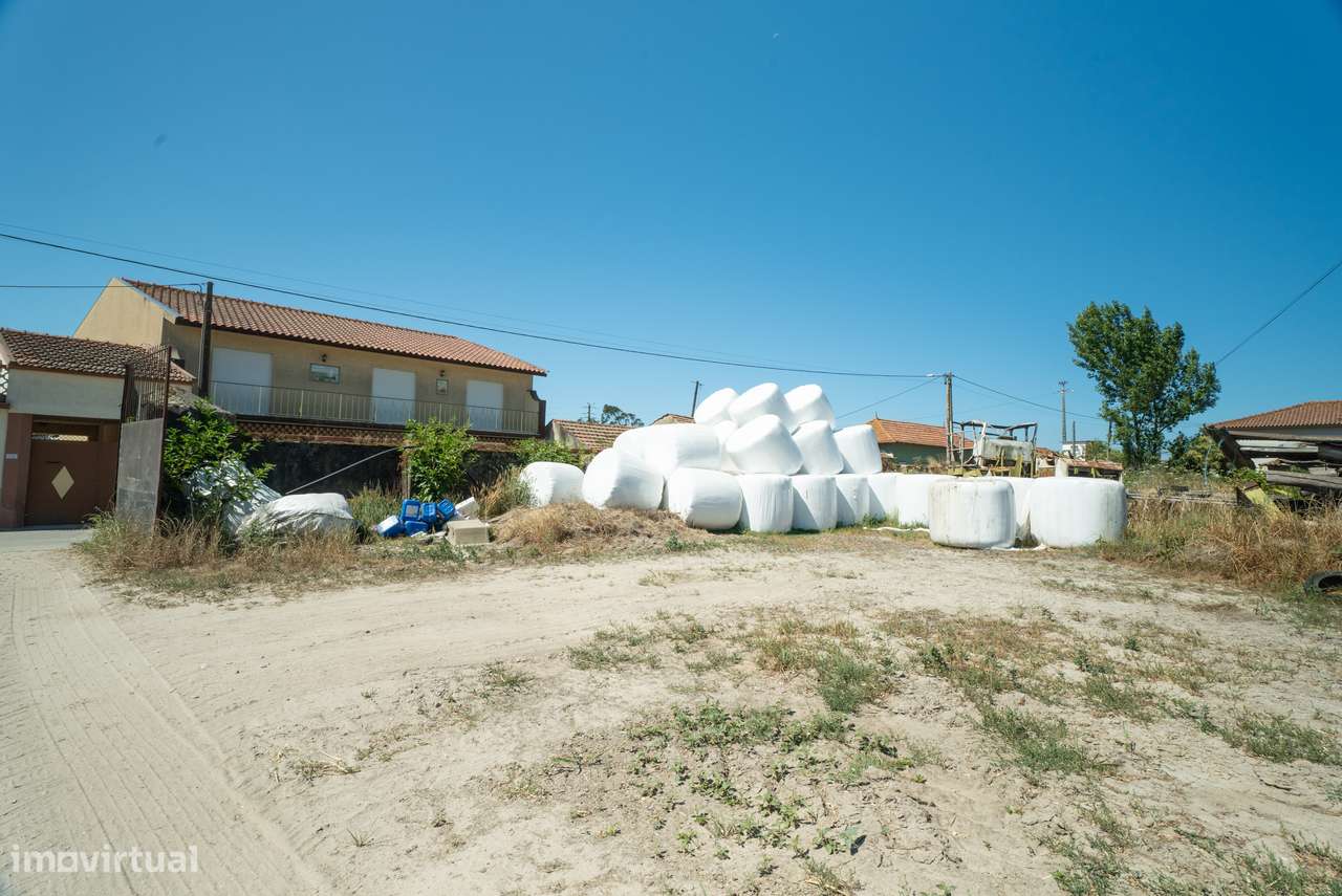 Terreno para venda - Murtosa-8