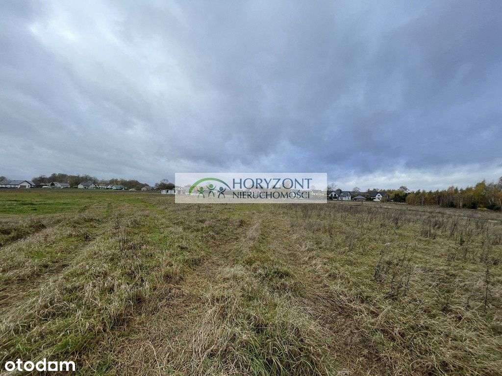 Tokary - działka budowlana - Pełny obrazek: 5/7