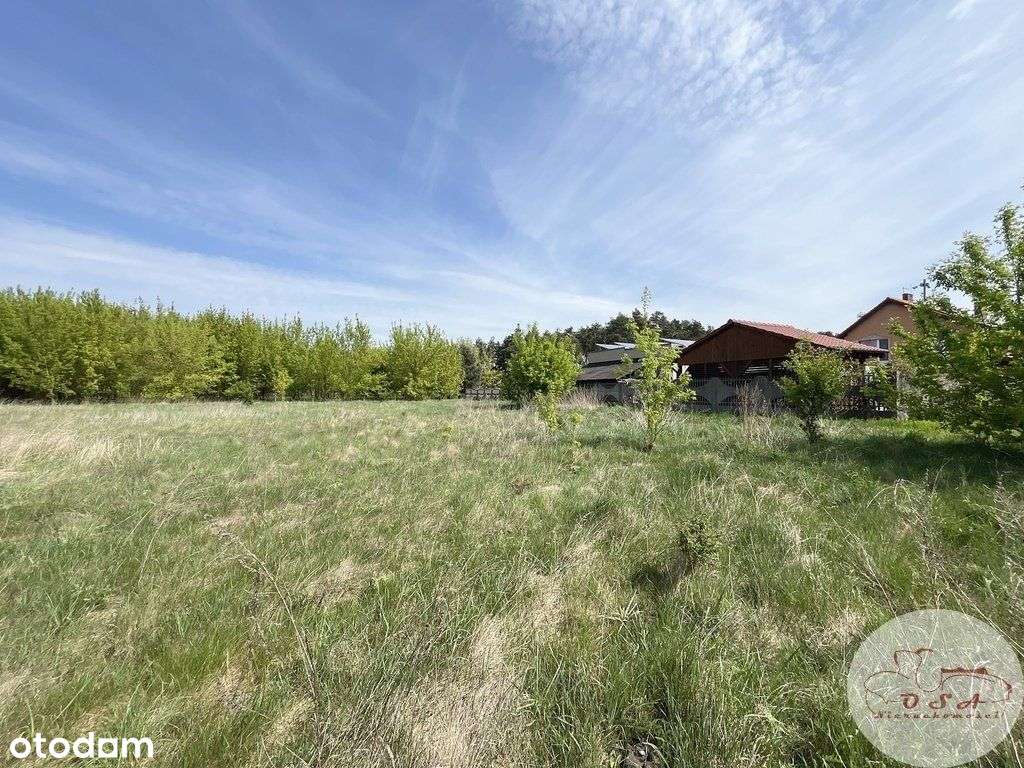 Działki w Głuchowie *las i droga S5* - Pełny obrazek: 5/10