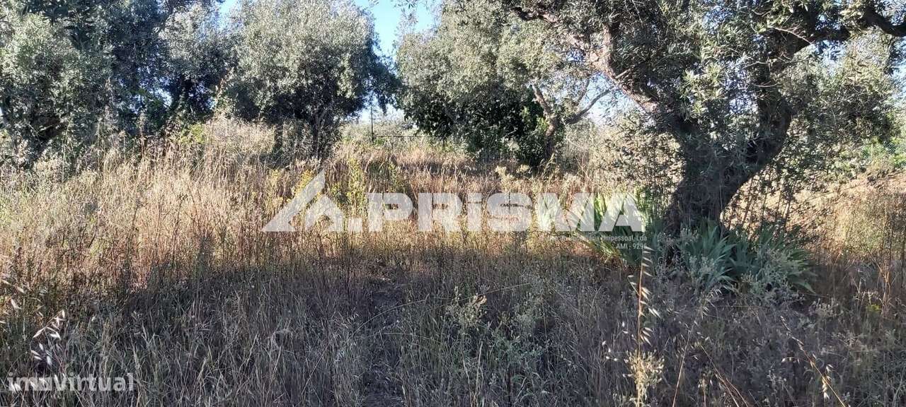 Quintinha para venda em Póvoa Rio de Moinhos - Grande imagem: 4/6