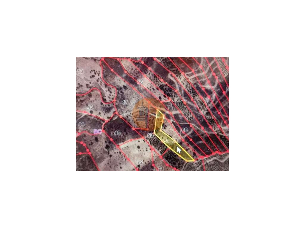 TERRENO RÚSTICO COM 5.560 M2 - COM ÁRVORES - ALCARIAS GRANDES - CAS... - Grande imagem: 3/40