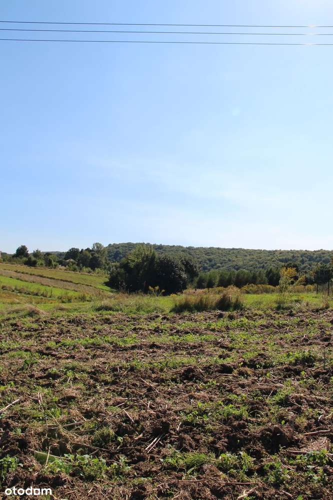 Działka budowlano - rolna przy Parku Ojcowskim-9
