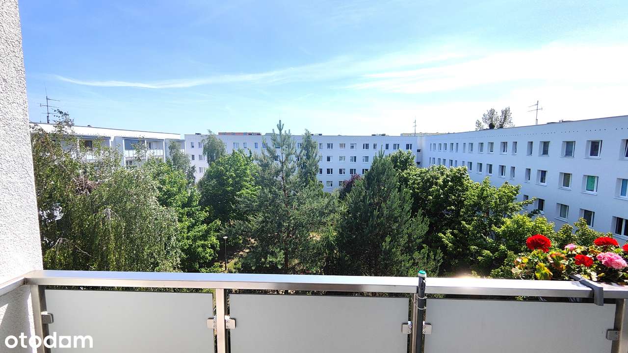 Mieszkanie 3 niezależne pokoje - Poznań bezpośrednio