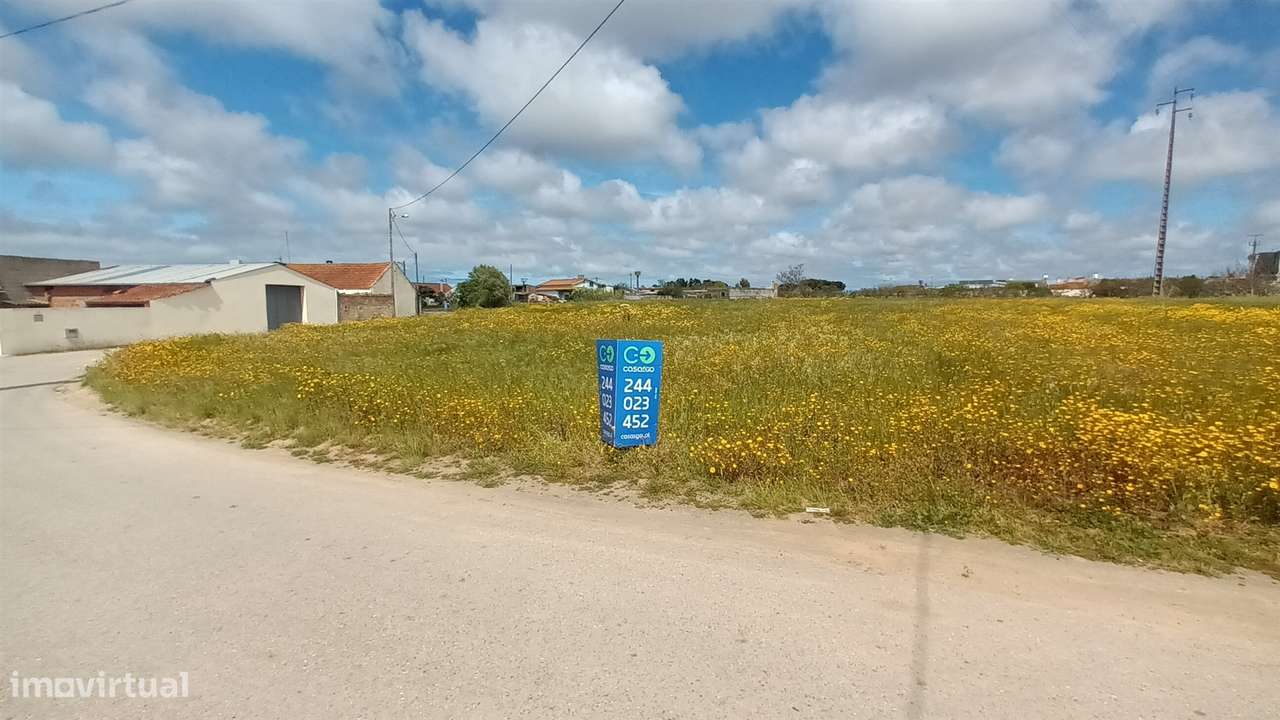 Terreno plano para construção / 7 900 m2 / Amor / Leiria - Grande imagem: 4/21
