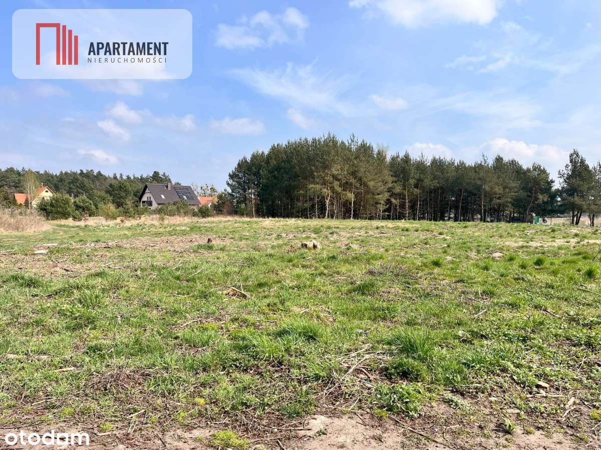 Działki Zabagno, blisko autostradyA1 do negocjacji - Pełny obrazek: 4/10