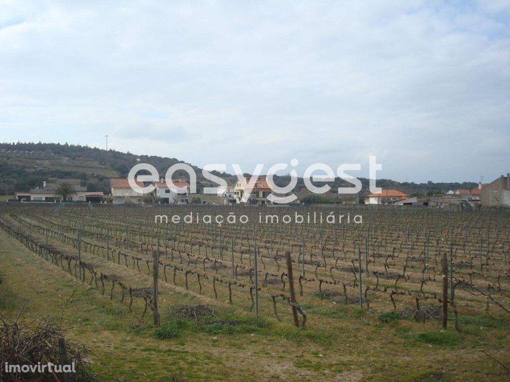 Terreno agrícola situado no douro vinhateiro Vila Nova De...