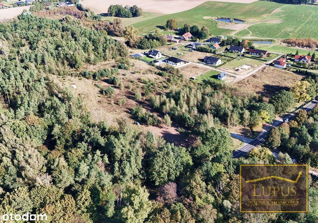 Działki budowlane w Kiczarowie - Pełny obrazek: 4/16