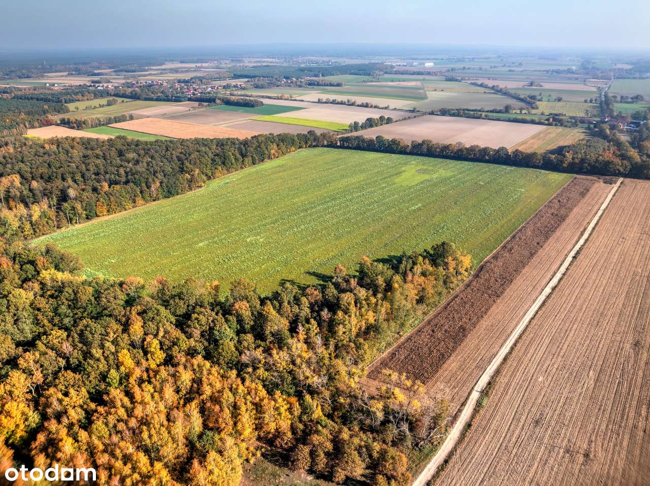 Działka inwestycyjna - hotel, dom opieki, centrum rehabilitacji, sport-6