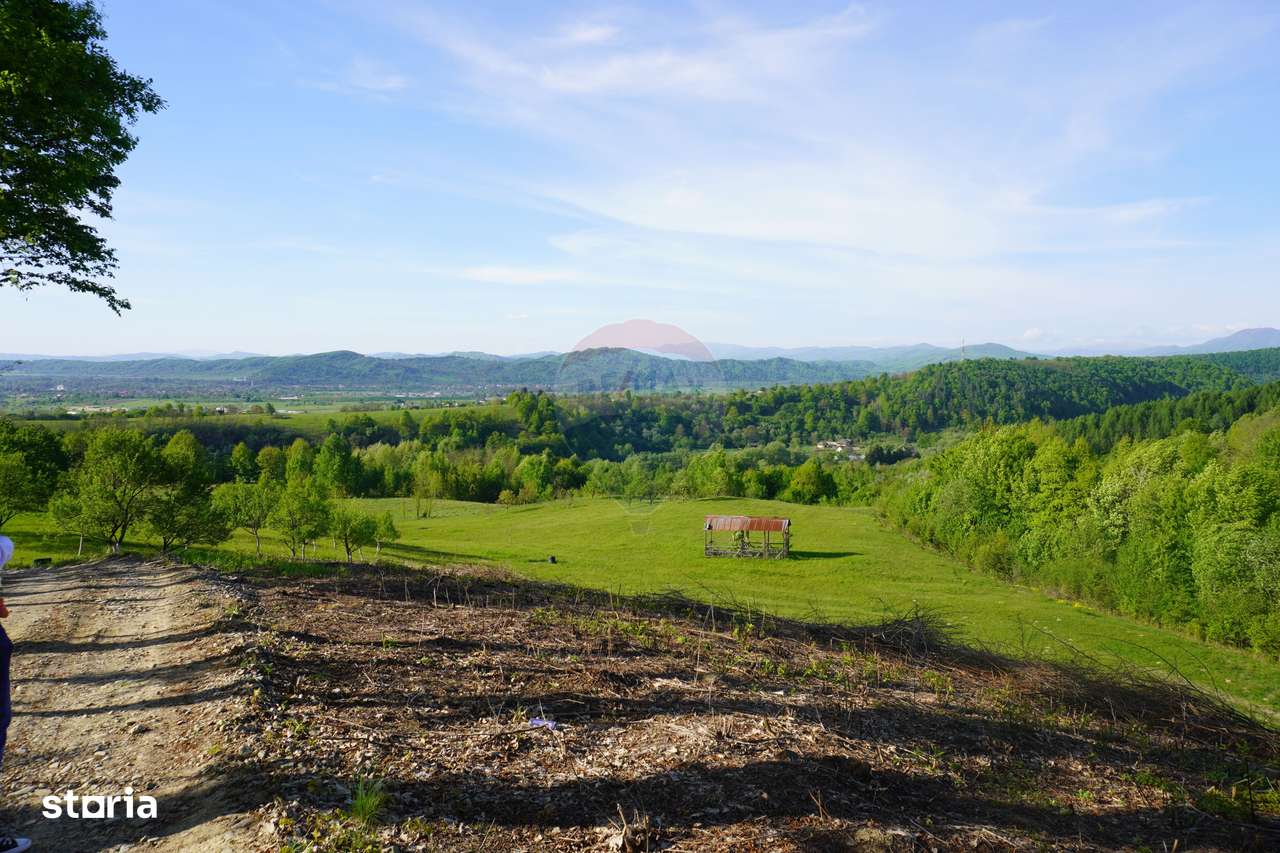 Teren 15,000mp Sighetu Marmatiei / Strada Mocăniței - Imagine principală: 3/13