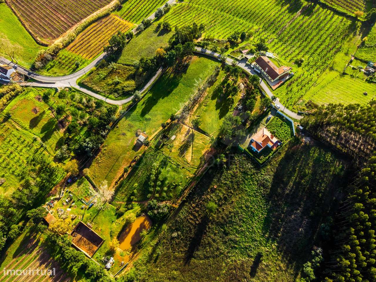 Moradia em ruínas num terreno de 10.699m2-13