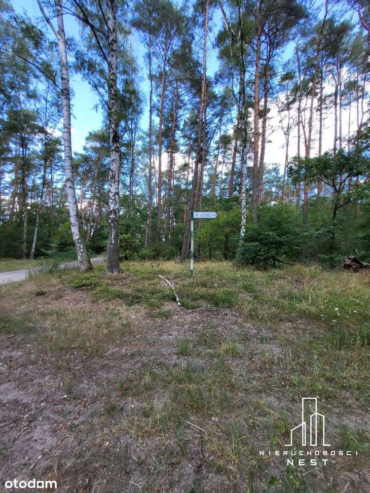 Działki po 1000m2-pakiet-możliwa zamiana-4