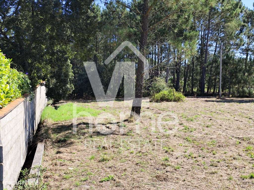 Invista no Futuro: Terreno com Potencial de Urbanização na Pocariça...-20