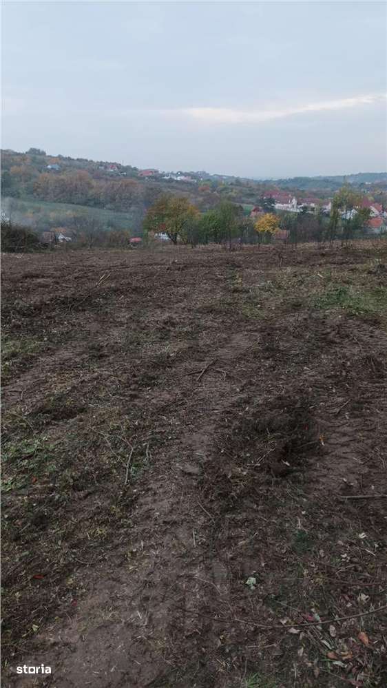 RECO . Teren in Podgoria . - Imagine principală: 3/3