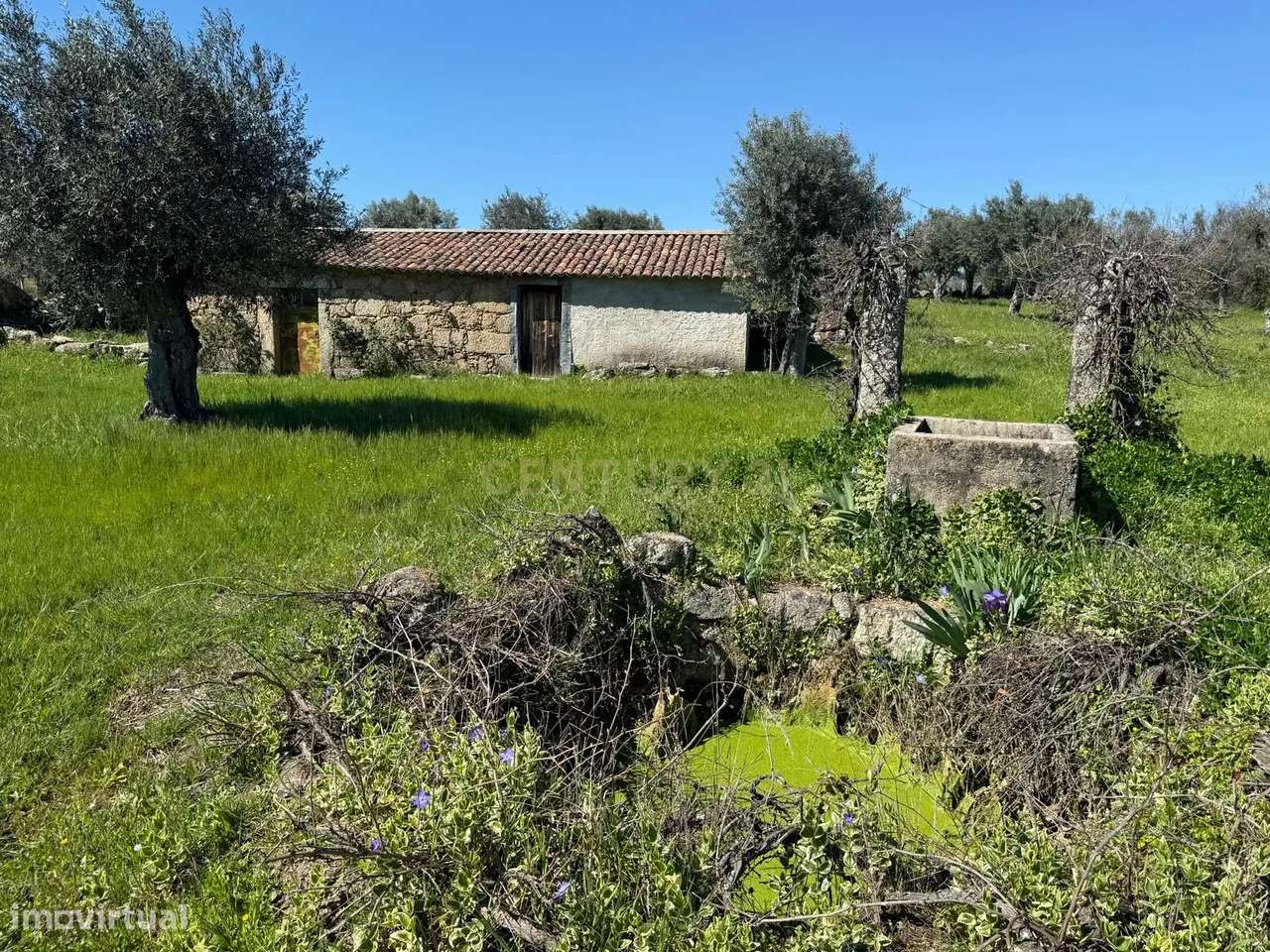 Fantástica Quinta com construção em pedra - Grande imagem: 2/27