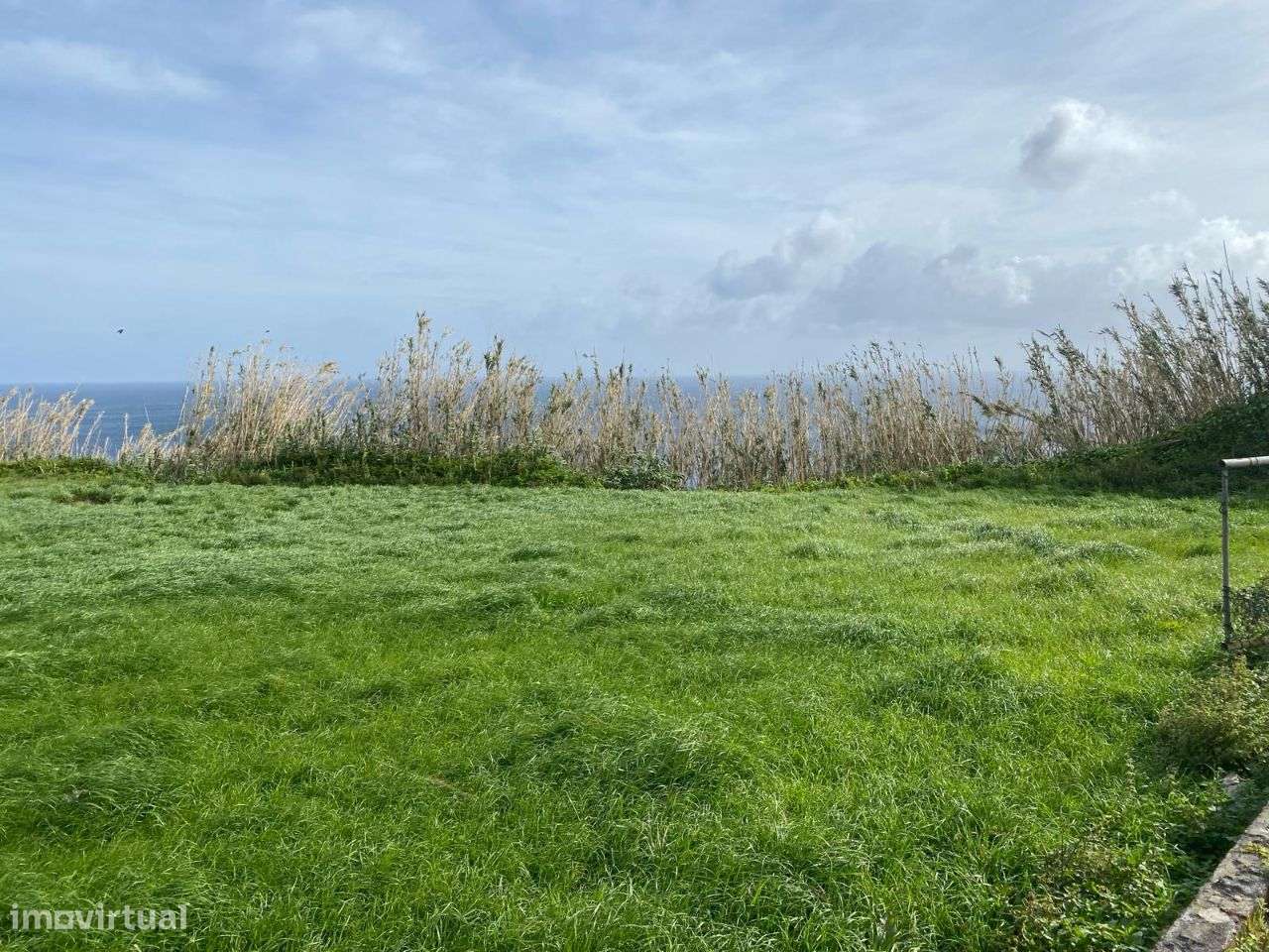 Terreno com vista ao norte de São Miguel, nas Figueiras - Grande imagem: 2/9