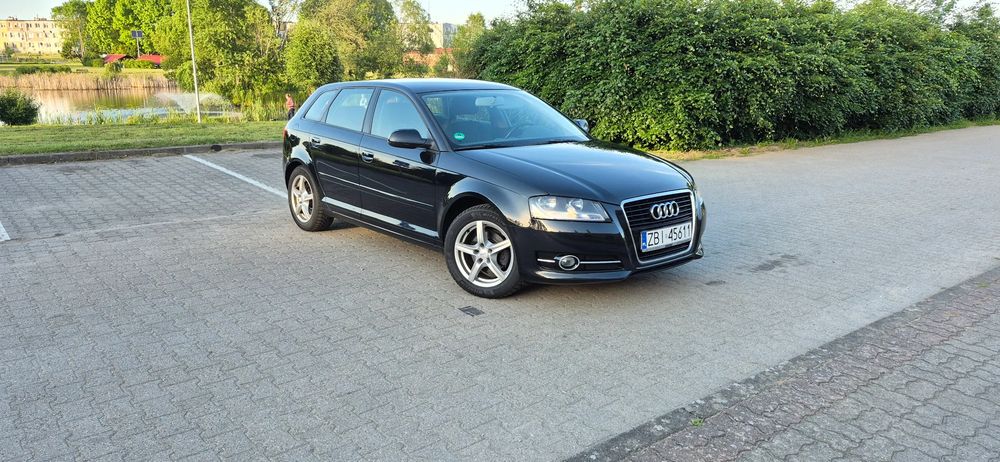 Audi A3 8P 1.6 TDI DPF Ambiente 2011