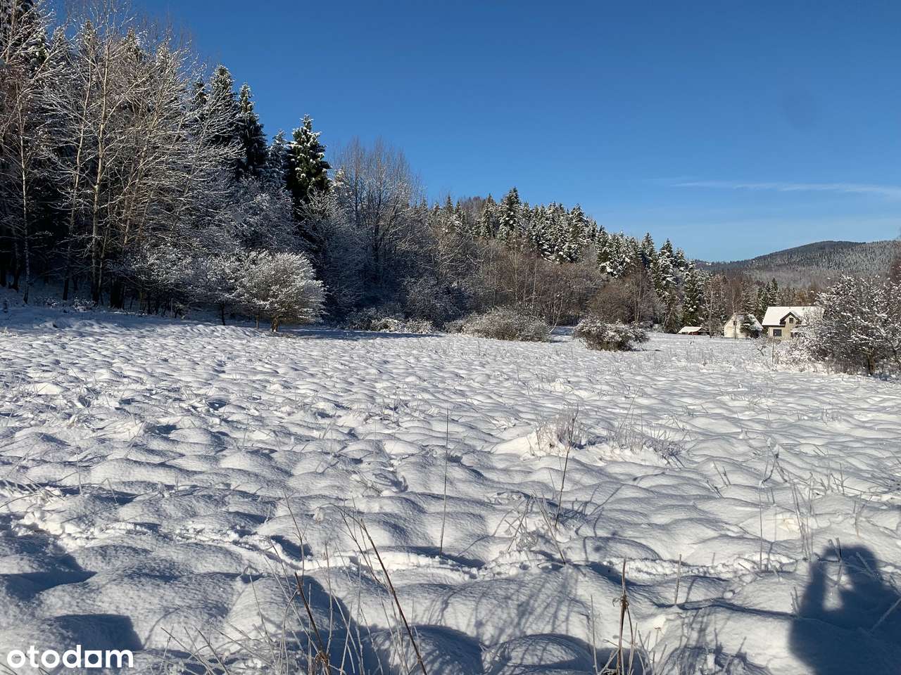 Duża działka w Zawoi Podpolice - Pełny obrazek: 4/13