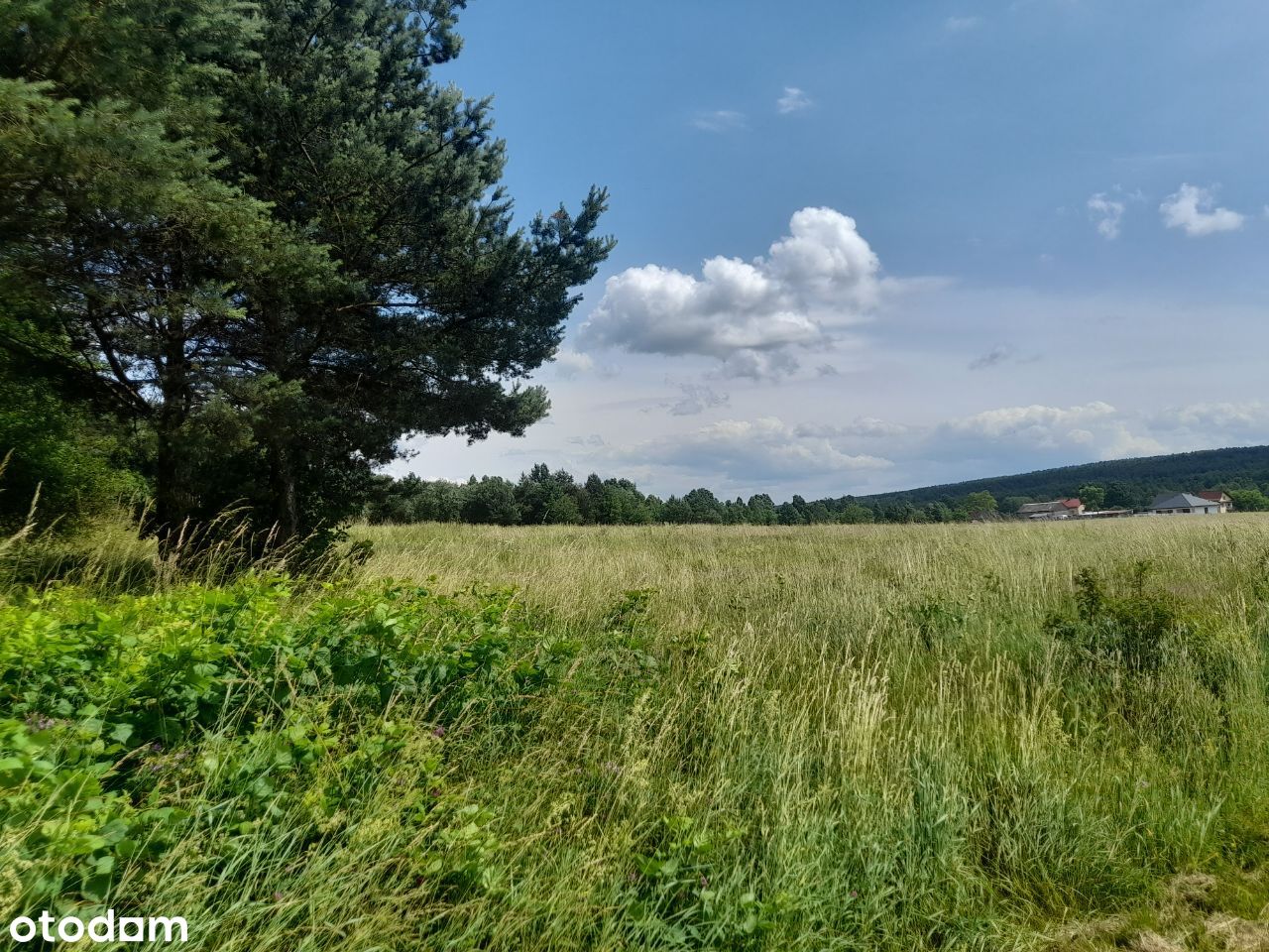 Do sprzedania działka rolno leśna 2500m2