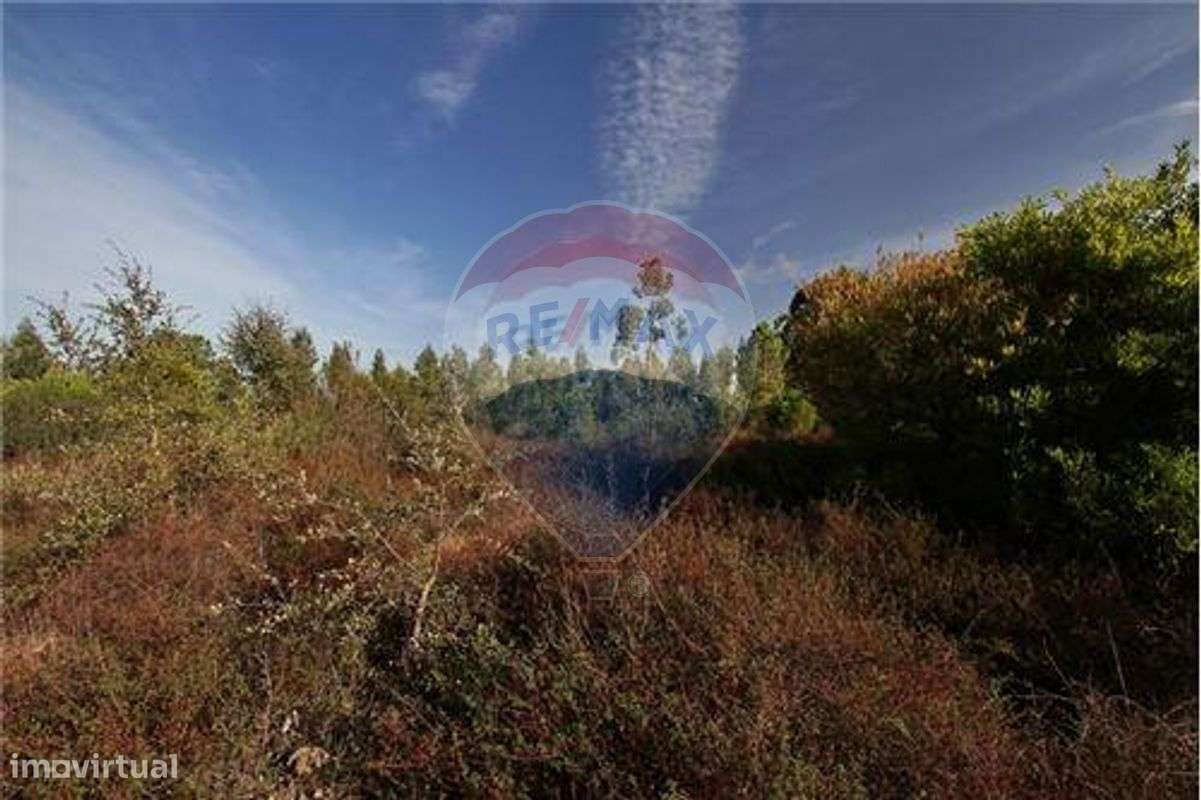 Terreno  para venda - Grande imagem: 3/5