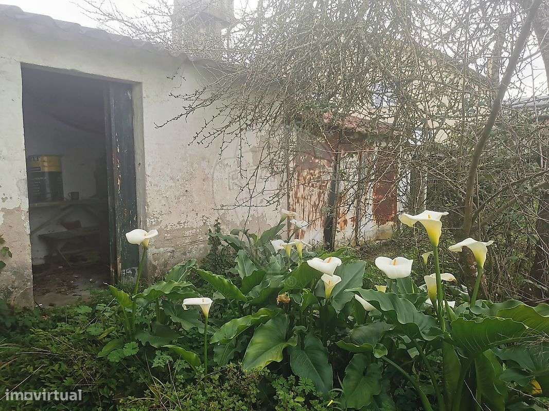 Moradia T2 para venda - Grande imagem: 5/15