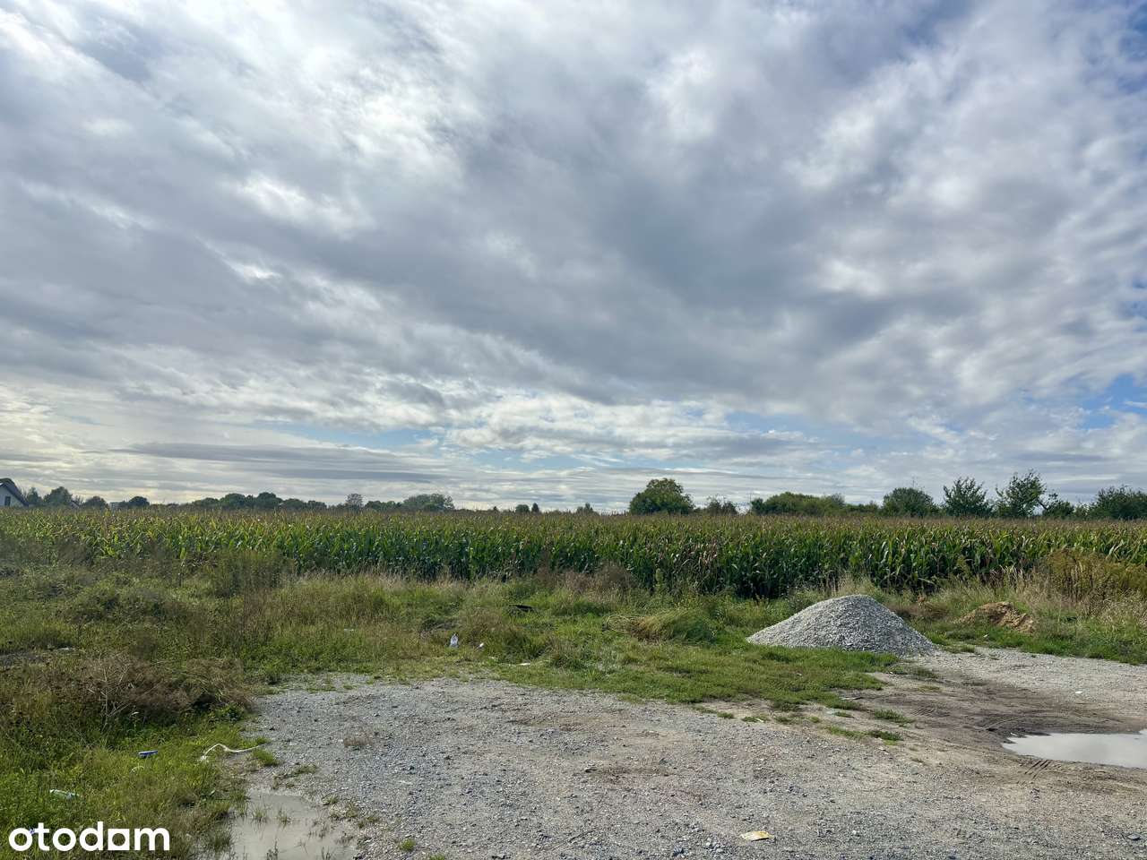 Działka inwestycyjna w Krynicznie przy węźle S5 - Pełny obrazek: 4/13