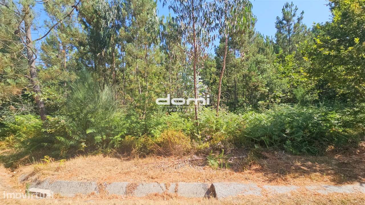 &#127969; Terreno com Viabilidade de Construção em Santa Cruz da Trapa - Grande imagem: 4/8