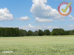 Działka na wsi z szybkim dojazdem drogą asfaltową!