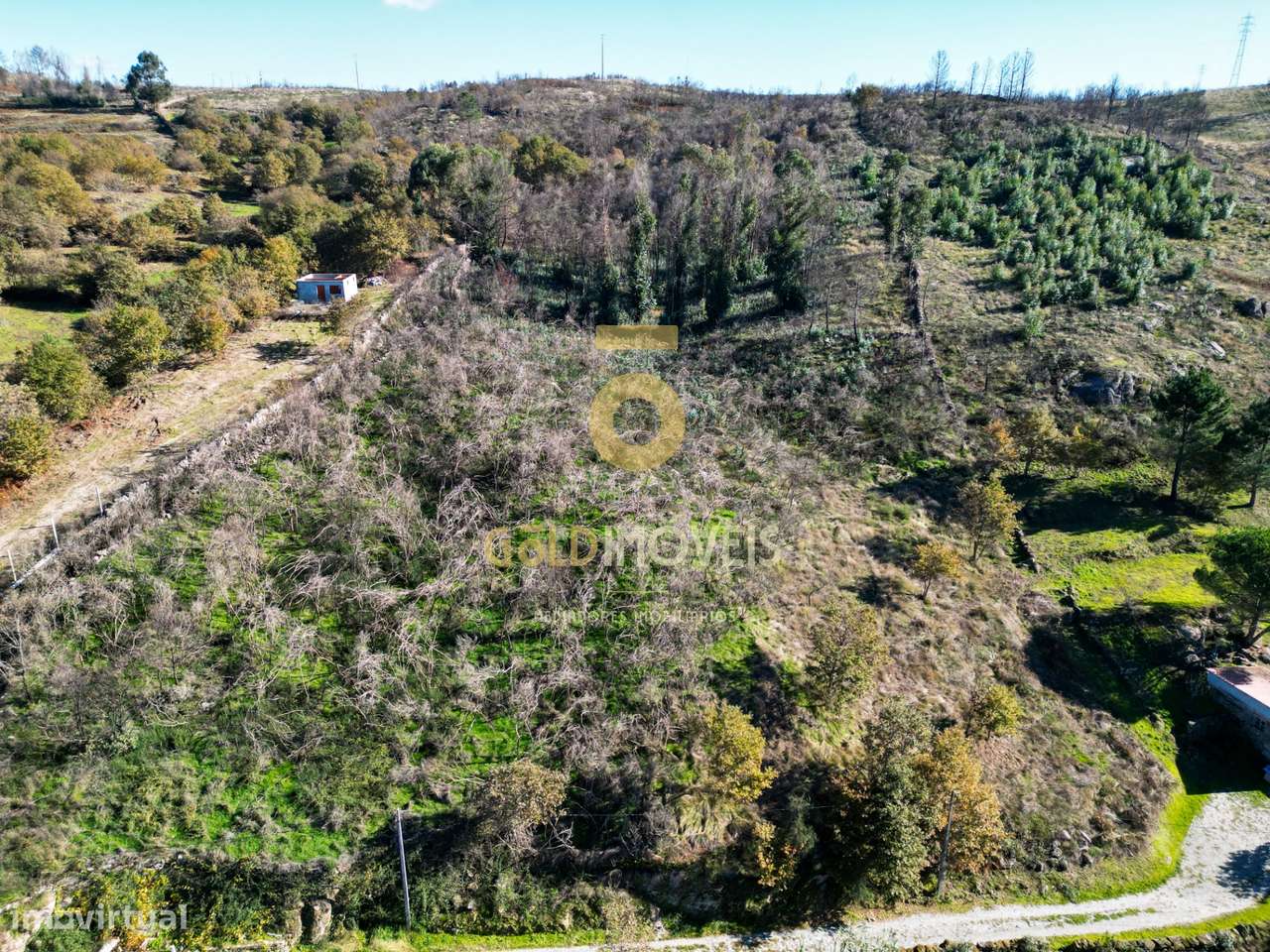 Terreno Rústico  Venda em Grilo,Baião - Grande imagem: 2/5