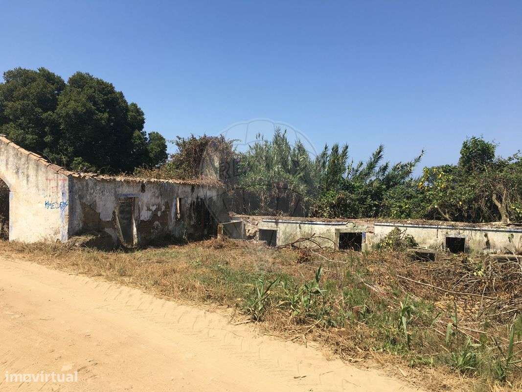 Terreno  para venda - Grande imagem: 4/16