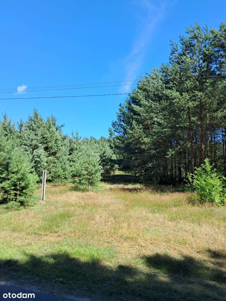 Działka budowlana o powierzchni 1686 m2, Prażuchy Nowe-1