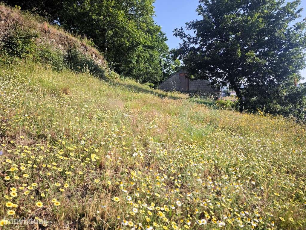 Moradia T3 com terreno em Vilar de Cunhas-37