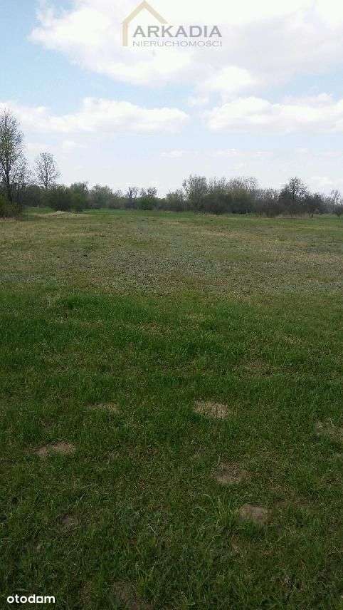 Duża działka siedliskowa w promocyjnej cenie - Pełny obrazek: 4/4