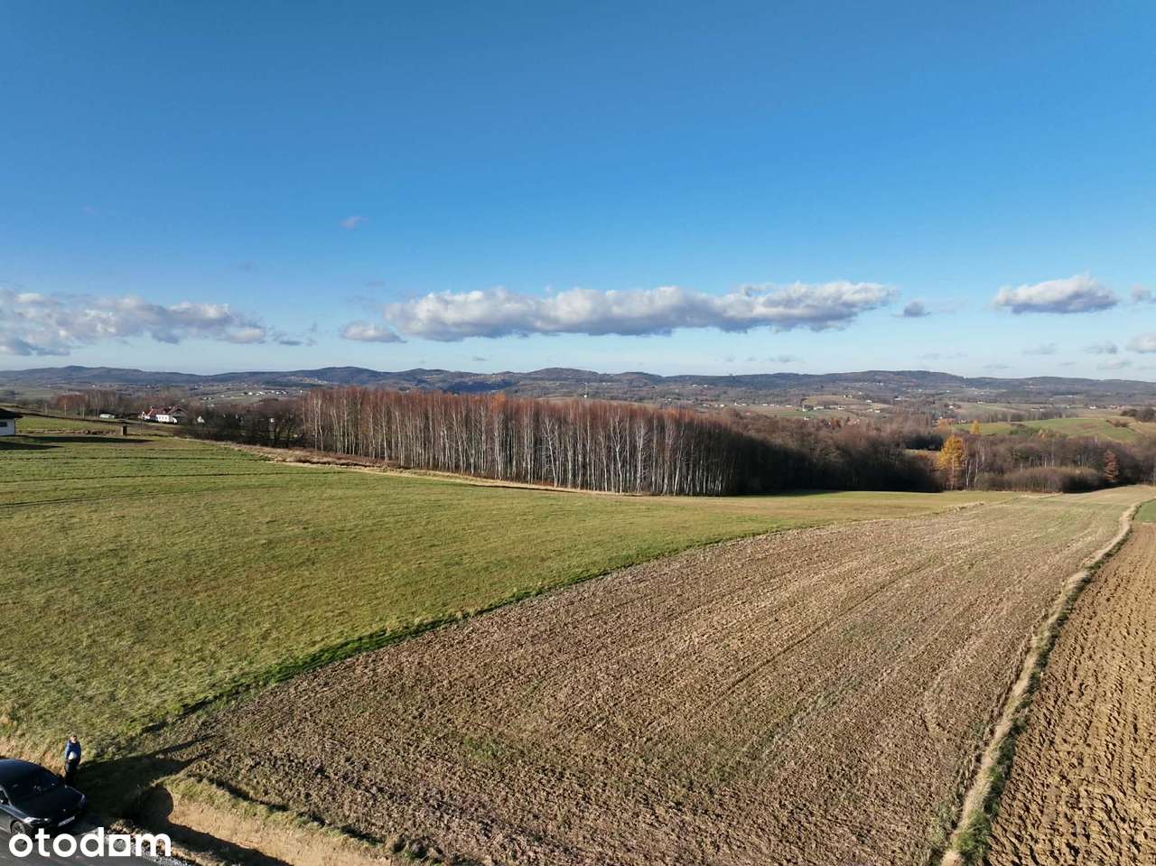 Ponad 1,5 ha działka w Ołpinach gm. Szerzyny-1