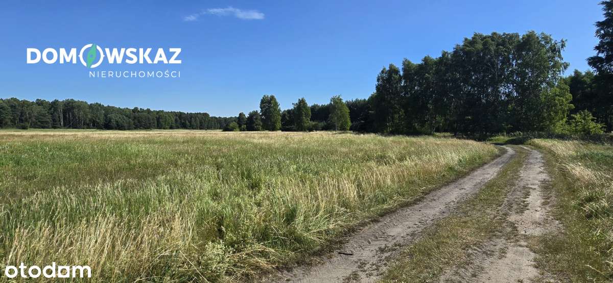 Twoja działka pod wymarzony dom - 1013 m2 - Pełny obrazek: 4/7